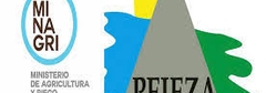 pejeza