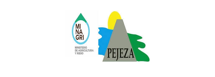 pejeza